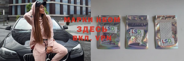 индика Алексин