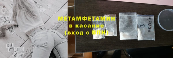 индика Алексин