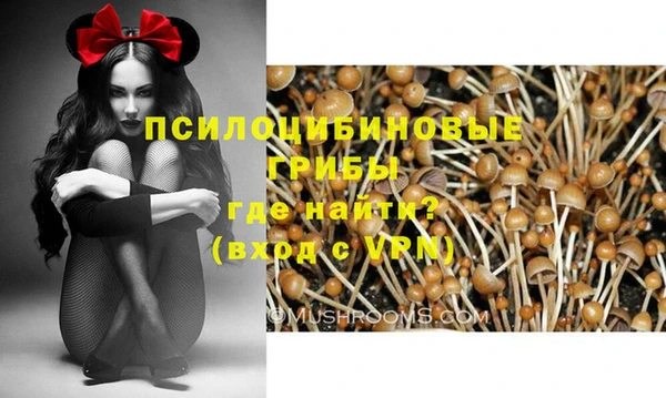 индика Алексин