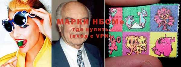индика Алексин