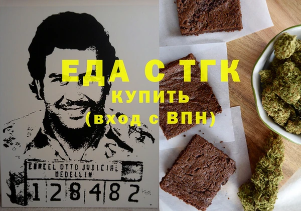 индика Алексин
