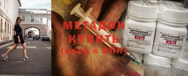 индика Алексин