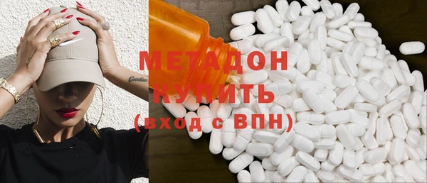индика Алексин
