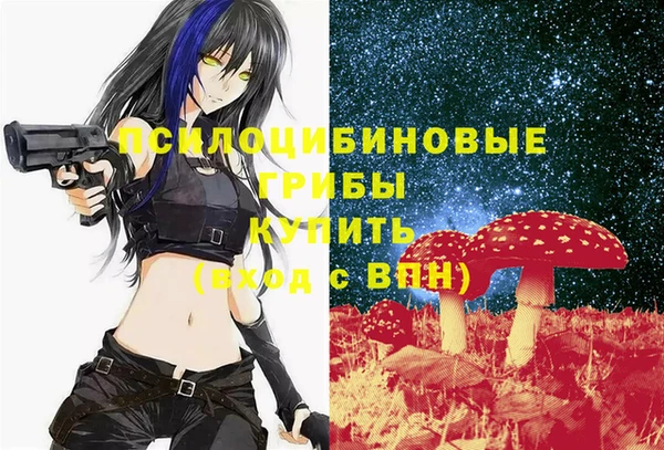 СК Алзамай