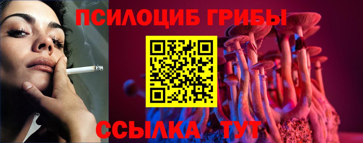 Кулебаки  Псилоцибиновые грибы ЛСД  Вход с VPN  Галлюциногенные грибы Magic Shrooms 